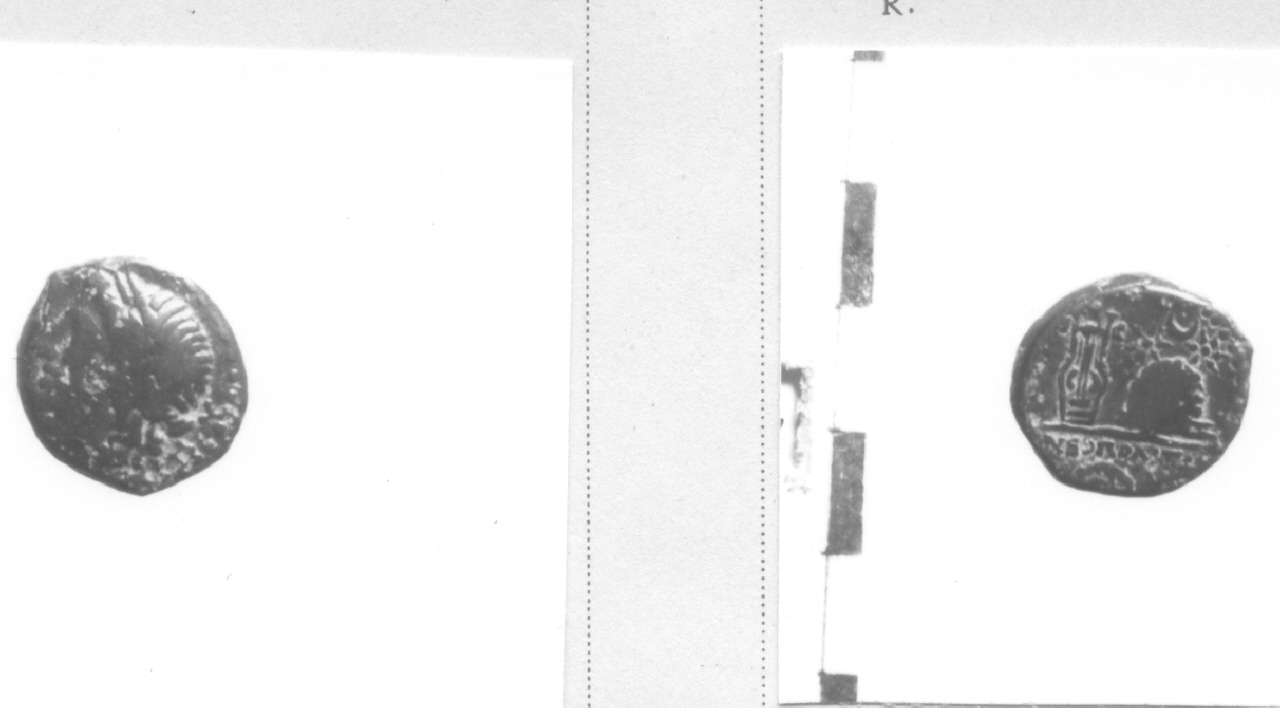 Testa di Apollo / Lira (moneta, litra) (III-II sec. a.C)