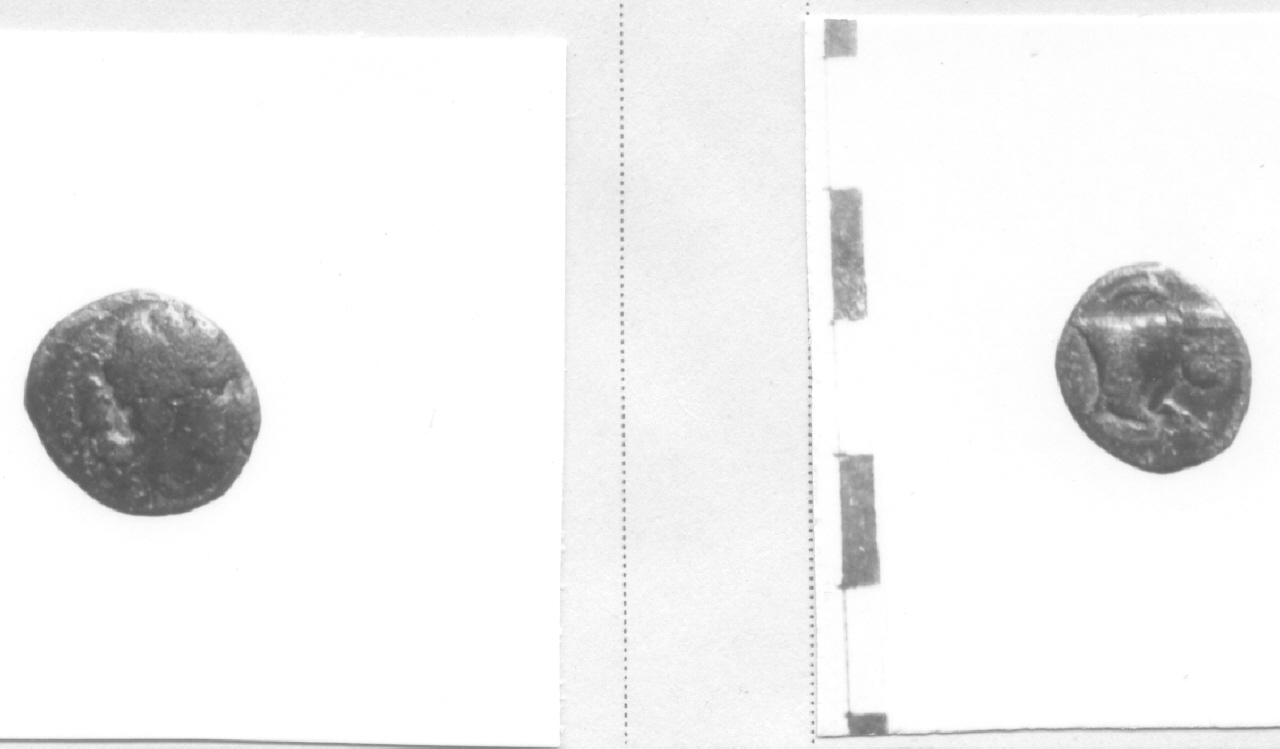 Testa di Apollo / Toro (moneta, frazione di obolo) (secondo quarto III sec. a.C)