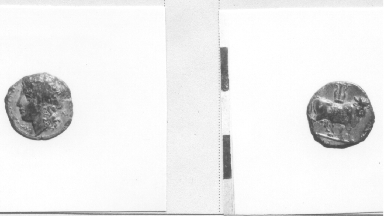 Testa di Apollo / Toro (moneta, hemilitra) (IV-III sec. a.C)