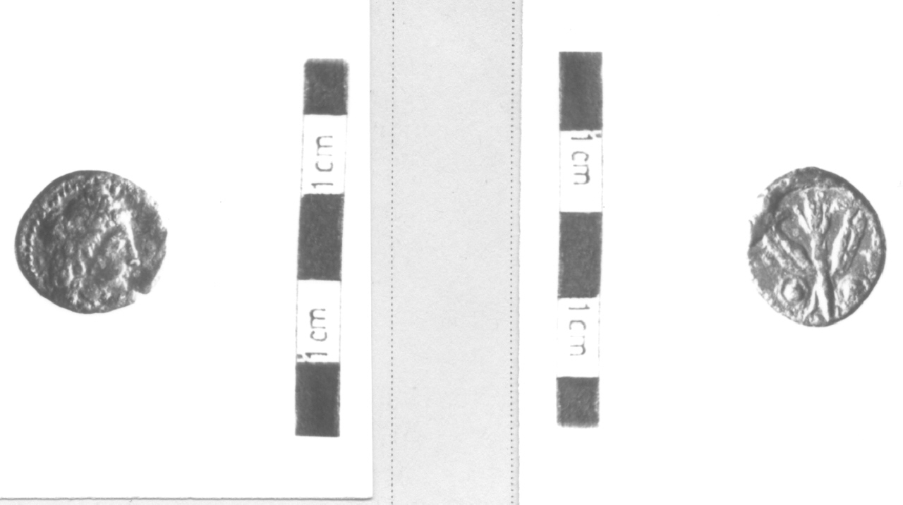 Testa di Persefone / Fulmine alato (moneta, nominale incerto) (IV sec. a.C)