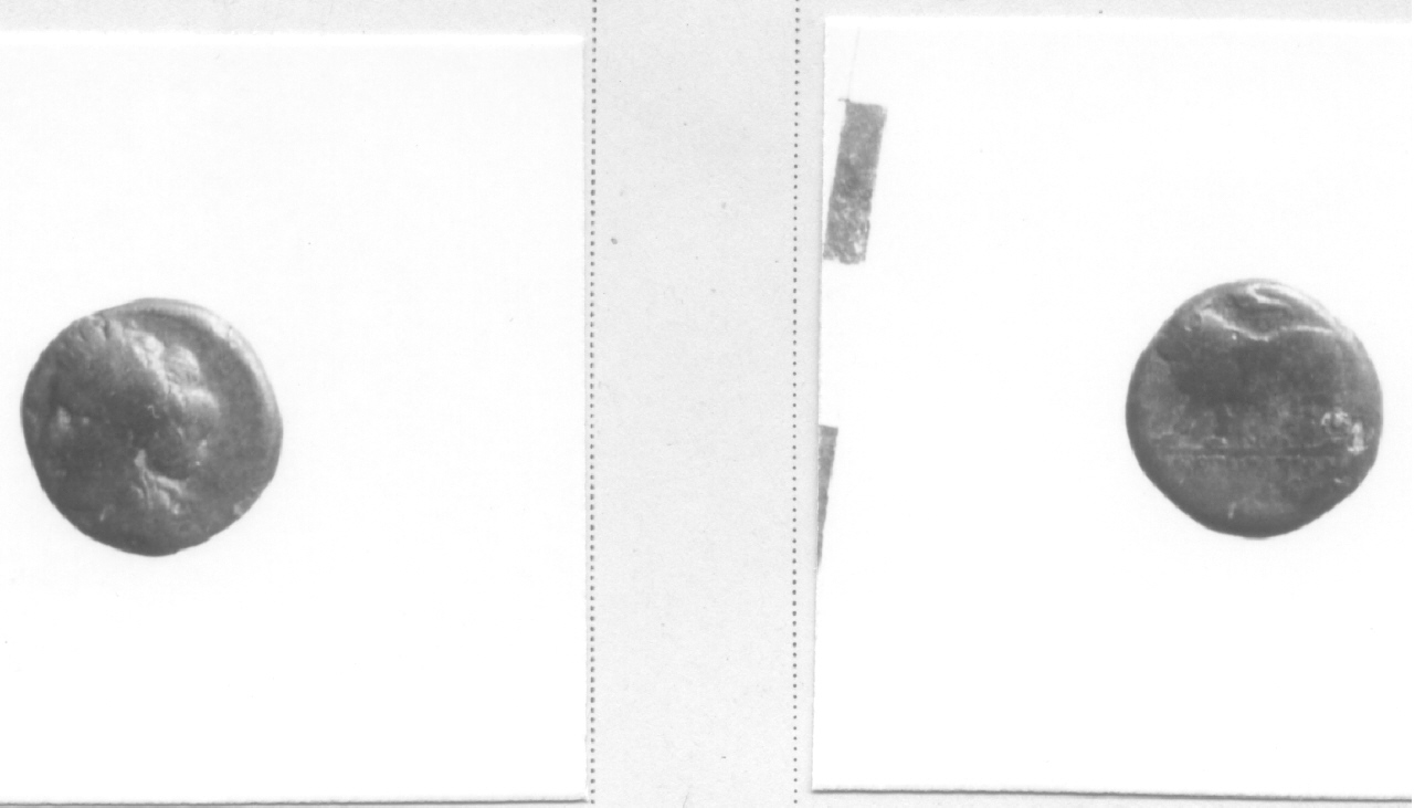 Testa di Apollo / Toro (moneta, hemilitra) (IV-III sec. a.C)