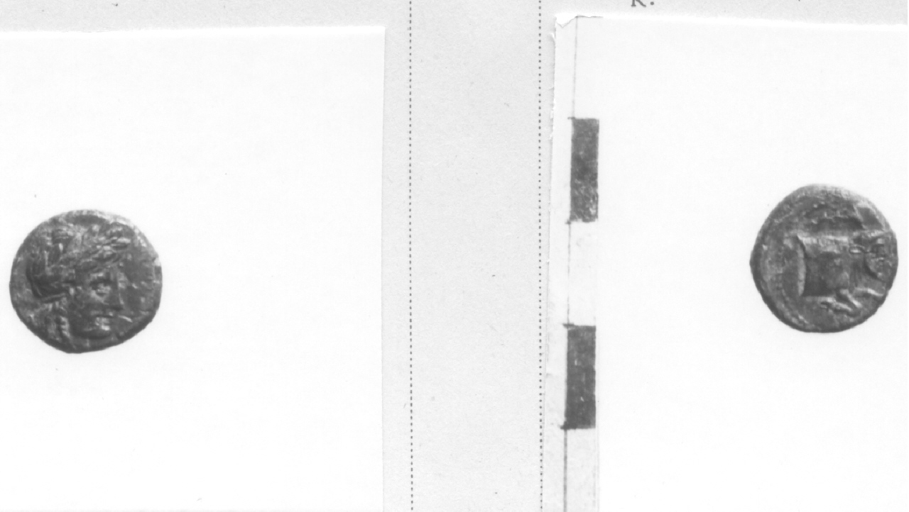 Testa di Apollo / Toro (moneta, frazione di obolo) (IV-III sec. a.C)