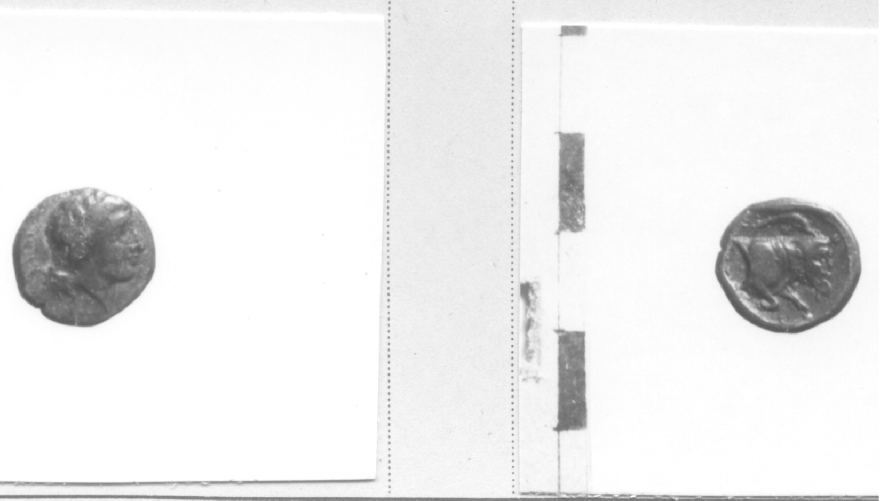 Testa di Apollo / Toro (moneta, frazione di obolo) (IV-III sec. a.C)