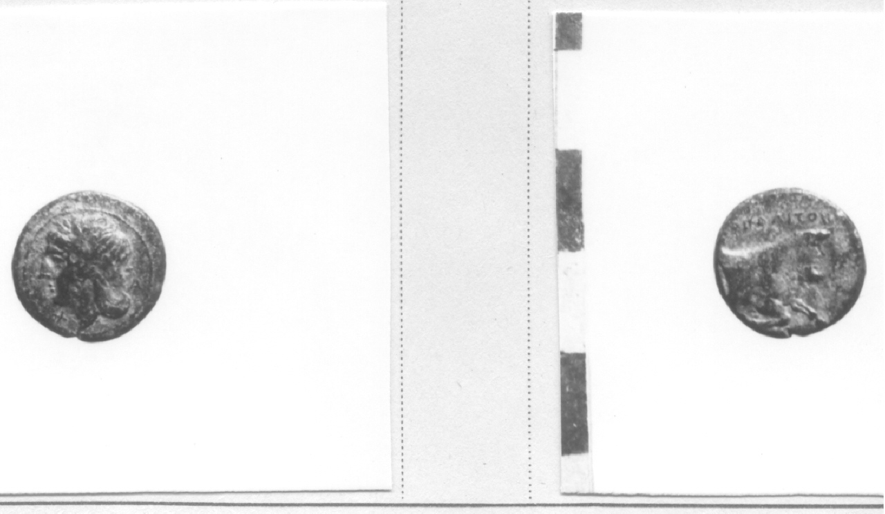 Testa di Apollo / Toro (moneta, frazione di obolo) (secondo quarto III sec. a.C)