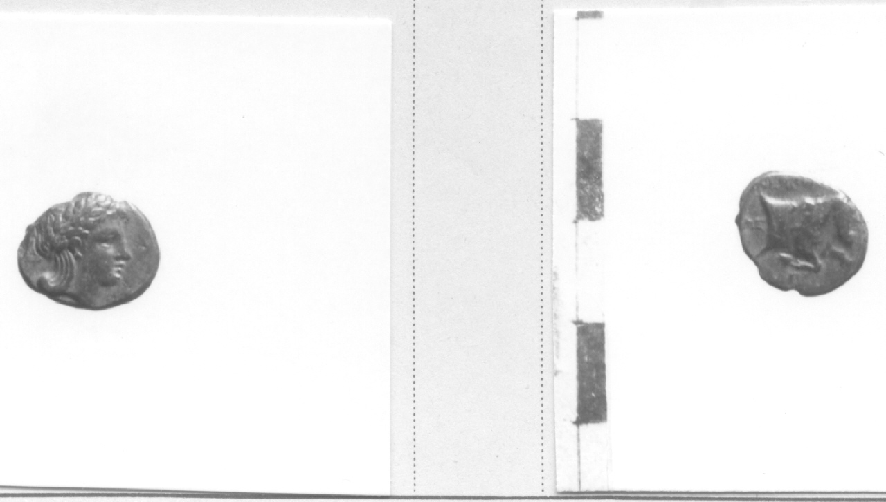 Testa di Apollo / Toro (moneta, frazione di obolo) (secondo quarto III sec. a.C)