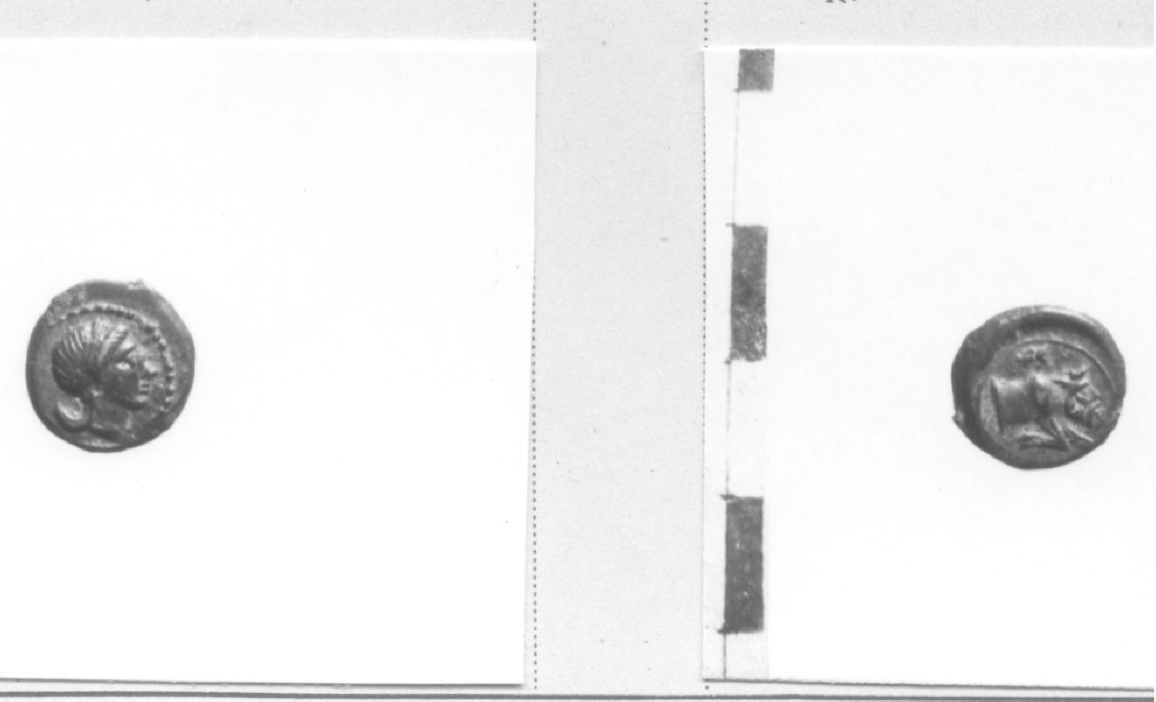 Testa di Apollo / Toro (moneta, frazione di obolo) (secondo quarto III sec. a.C)