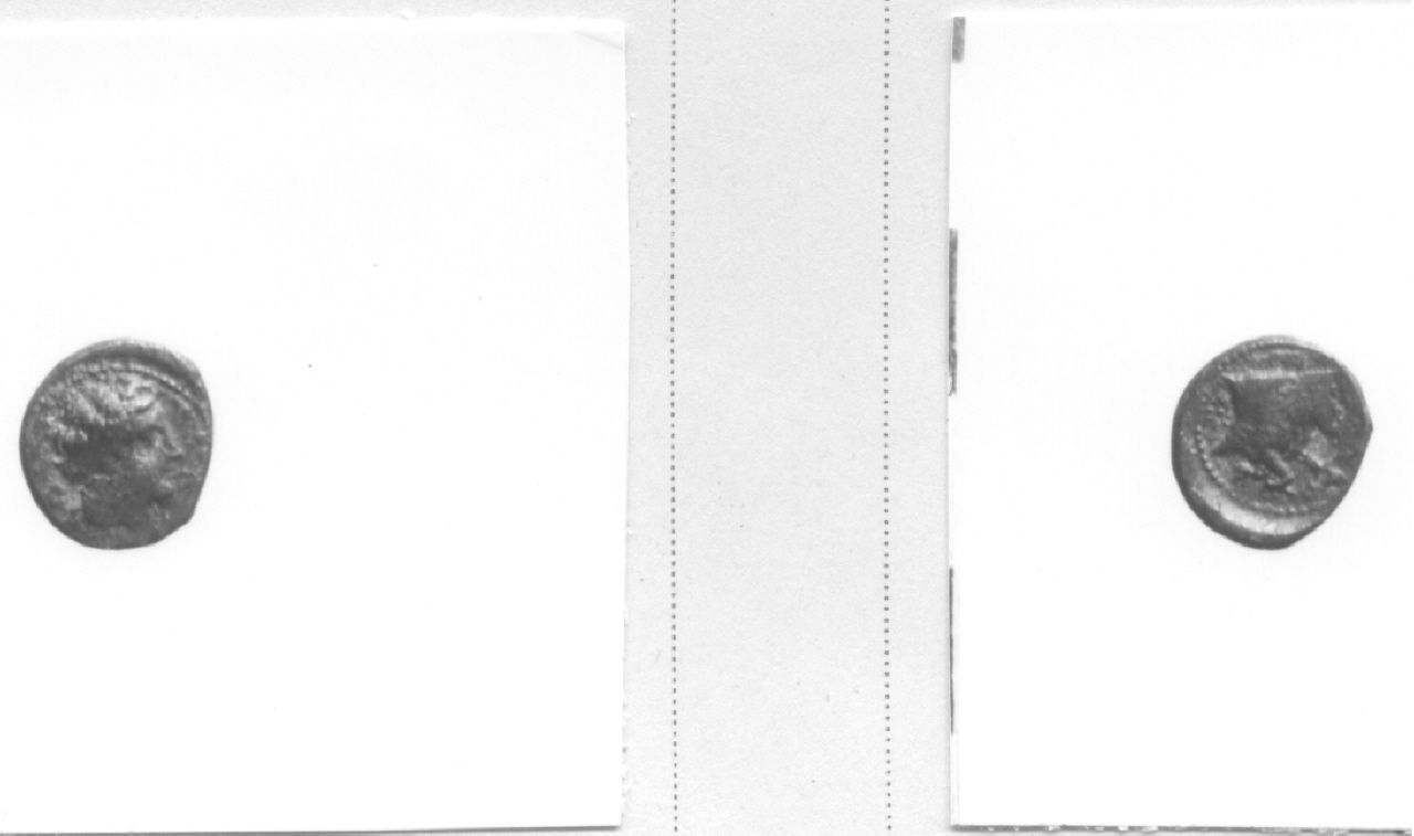 Testa di Apollo / Toro (moneta, frazione di obolo) (secondo quarto III sec. a.C)