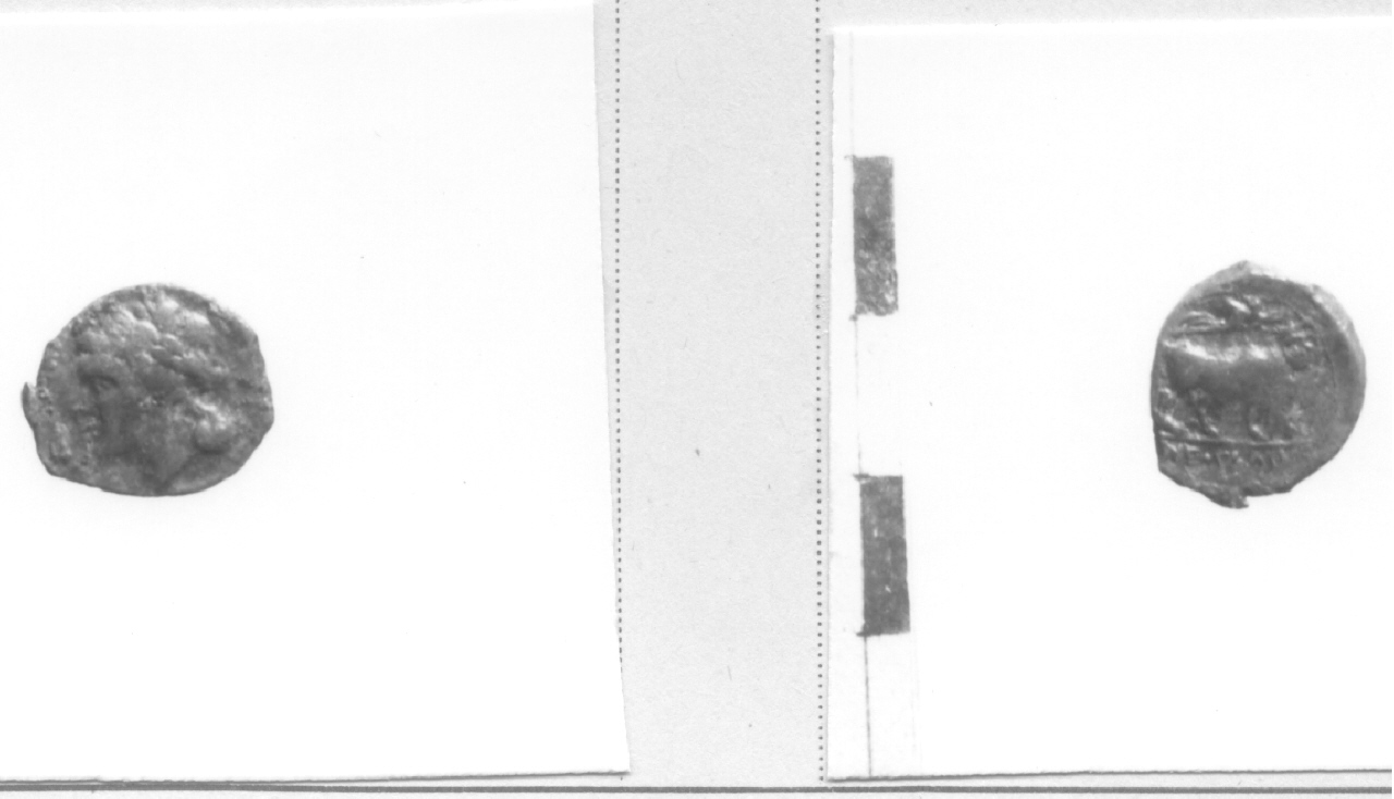 Testa di Apollo / Toro (moneta, litra) (III-II sec. a. C)