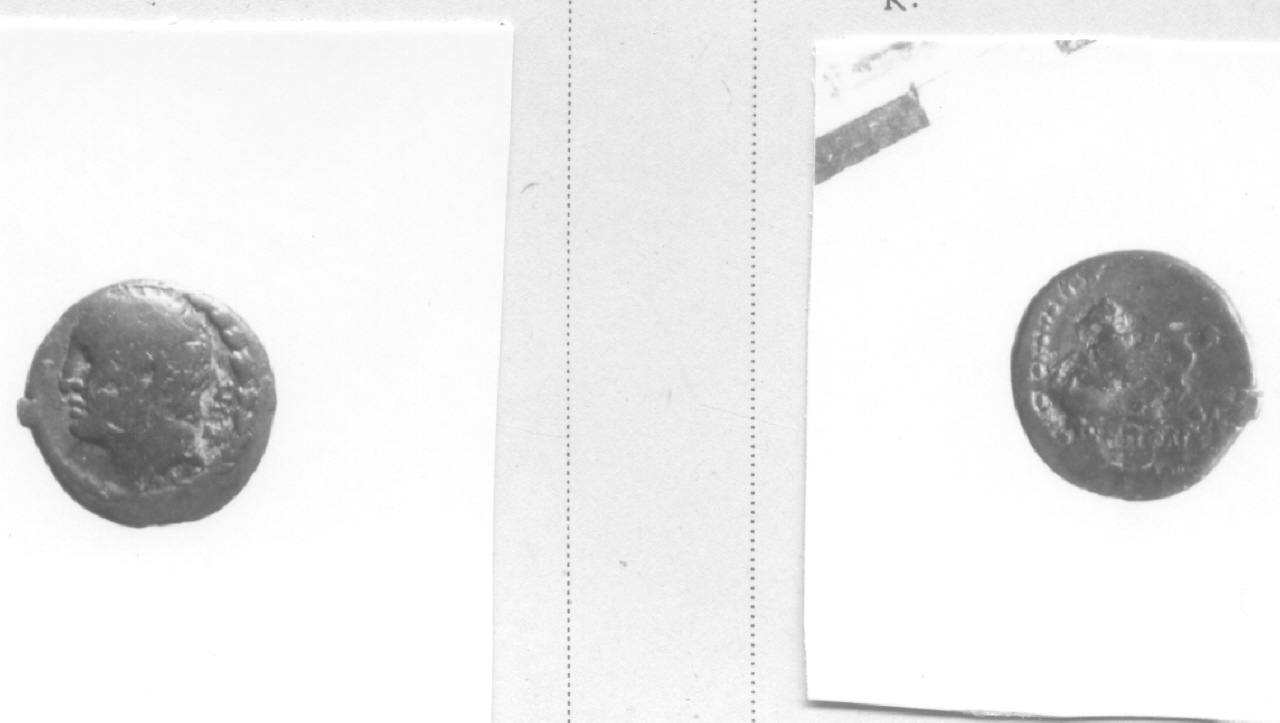 Testa virile / Cavaliere (moneta, hemilitra) (III-II sec. a. C)