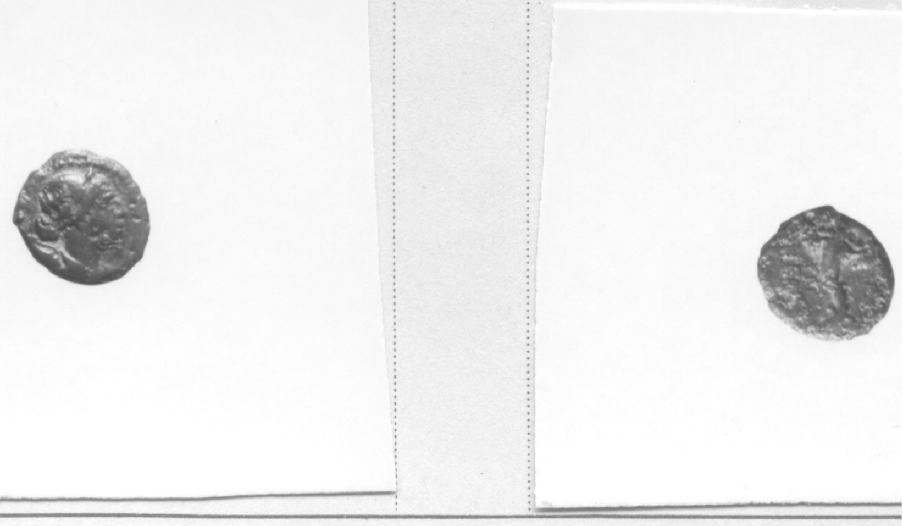 Busto di Diana / Cornucopia (moneta, hemilitra) (III-II sec. a. C)