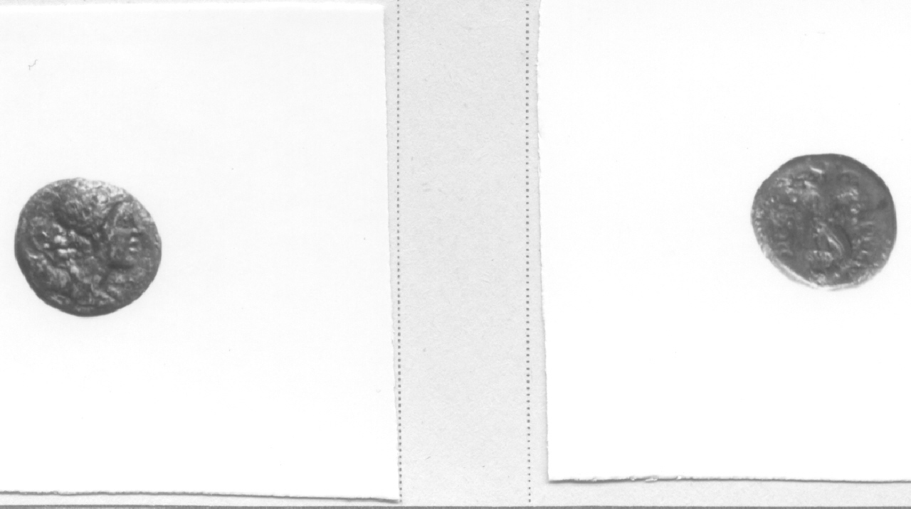 Testa di Diana / Cornucopia (moneta, hemilitra) (III-II sec. a. C)