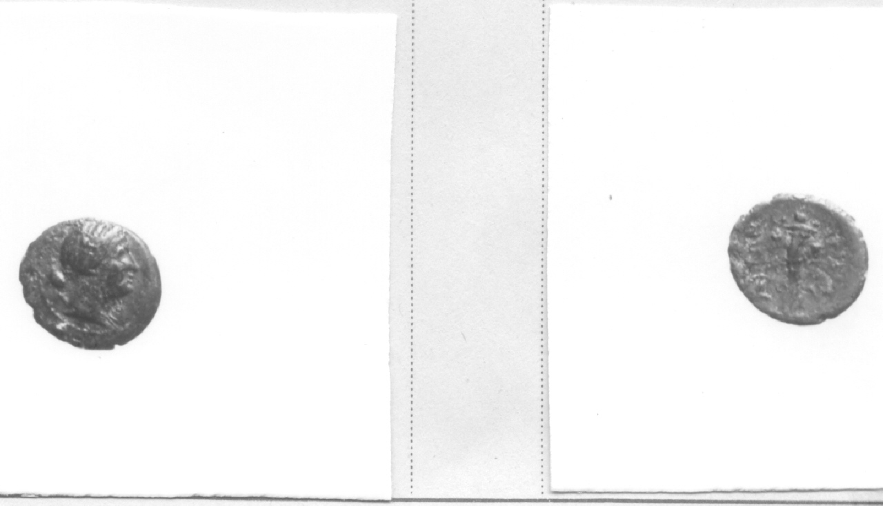 Busto di Diana / Cornucopia (moneta, hemilitra) (III-II sec. a. C)