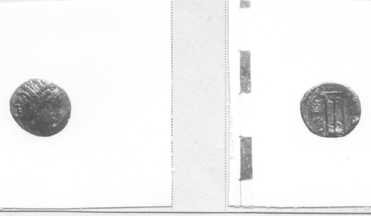 Testa maschile / tripode (moneta, frazione di litra) (III sec. a.C)