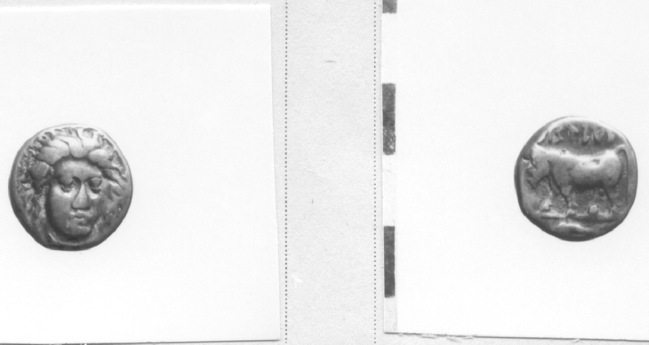 Testa di ninfa / toro (moneta, didramma) (IV sec. a. C)