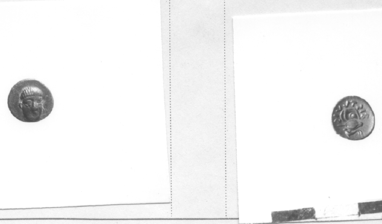 Testa frontale / cozza (moneta, obolo) (IV sec. a. C)