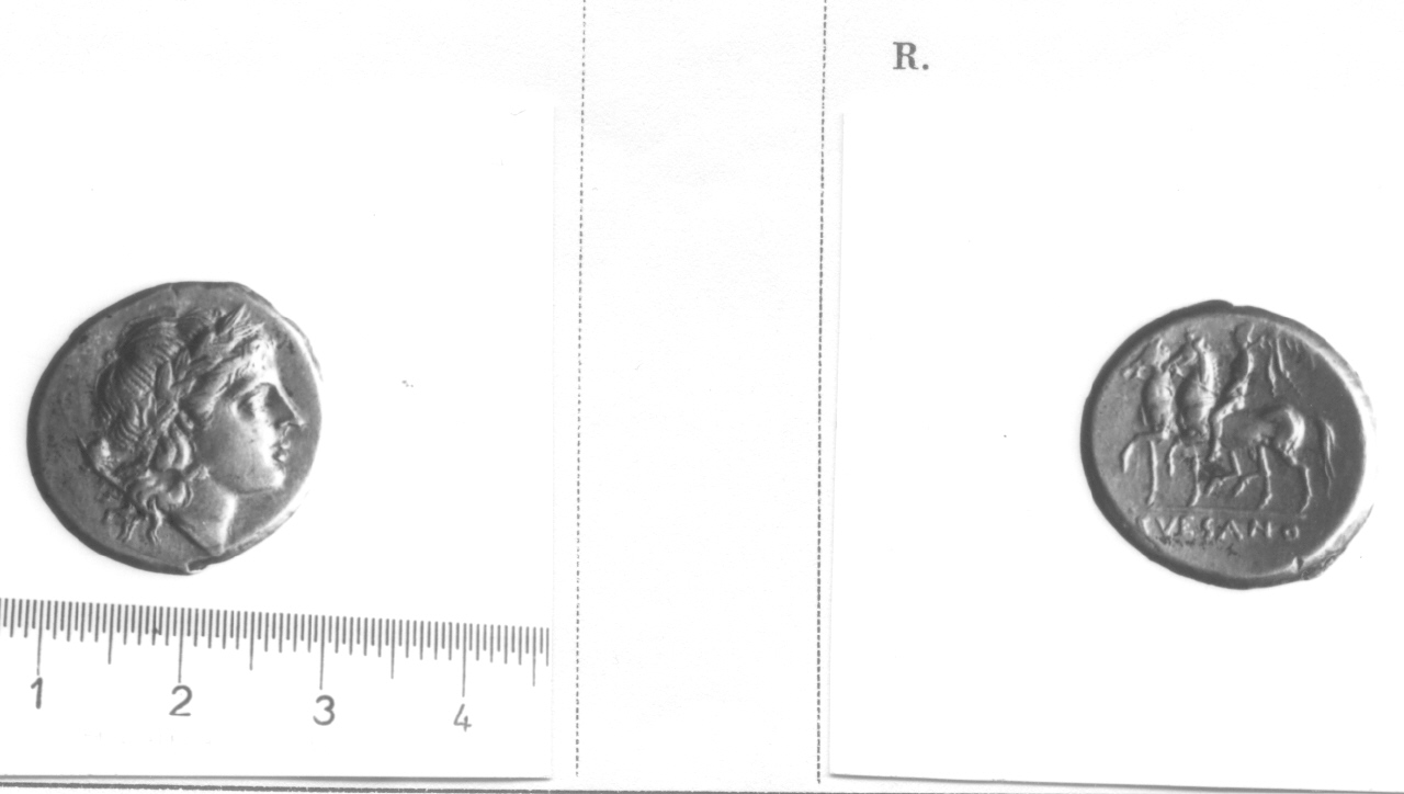 Testa di Apollo / cavaliere (moneta, didramma) (III sec. a.C)