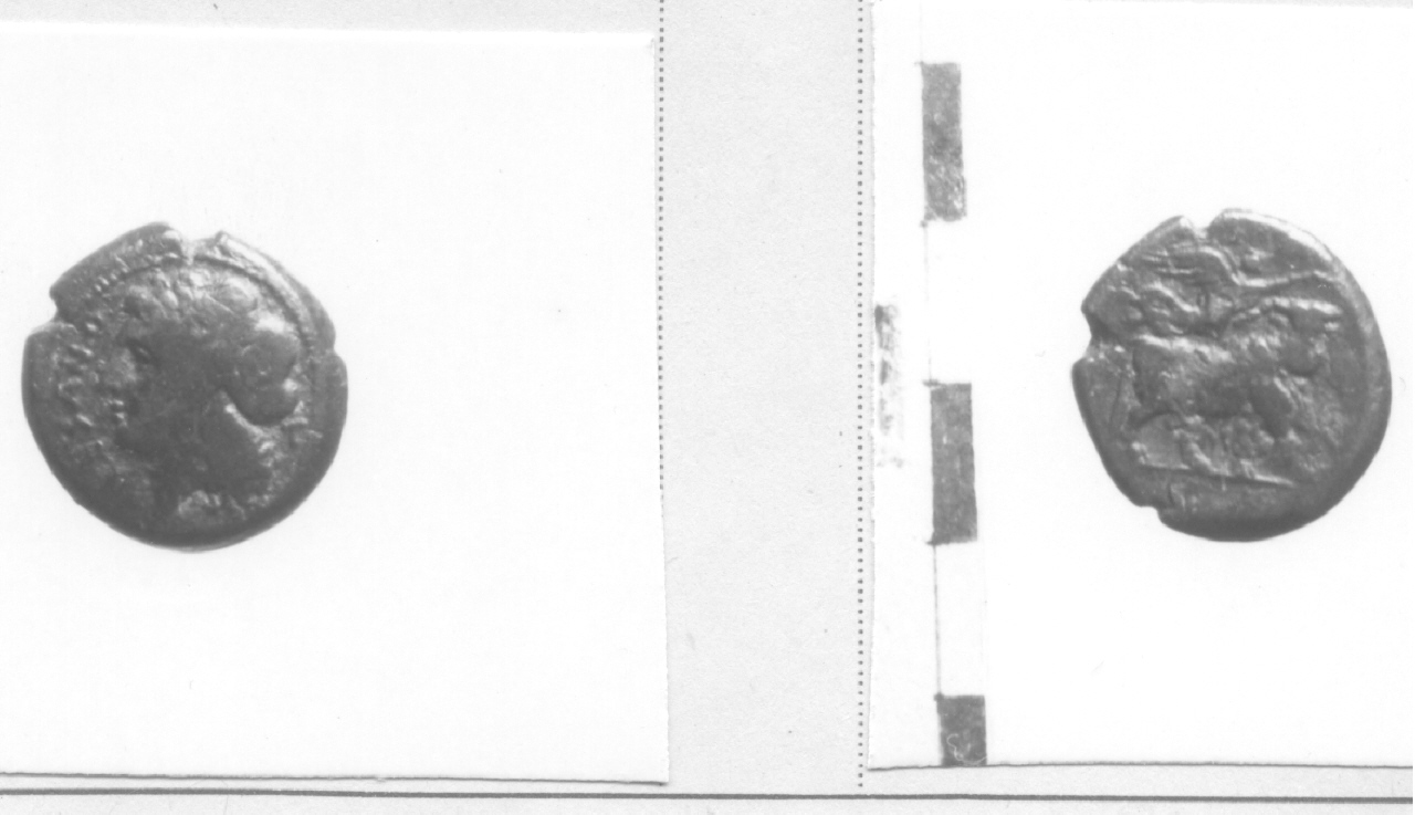 Testa di Apollo / Toro (moneta, litra) (III sec. a.C)