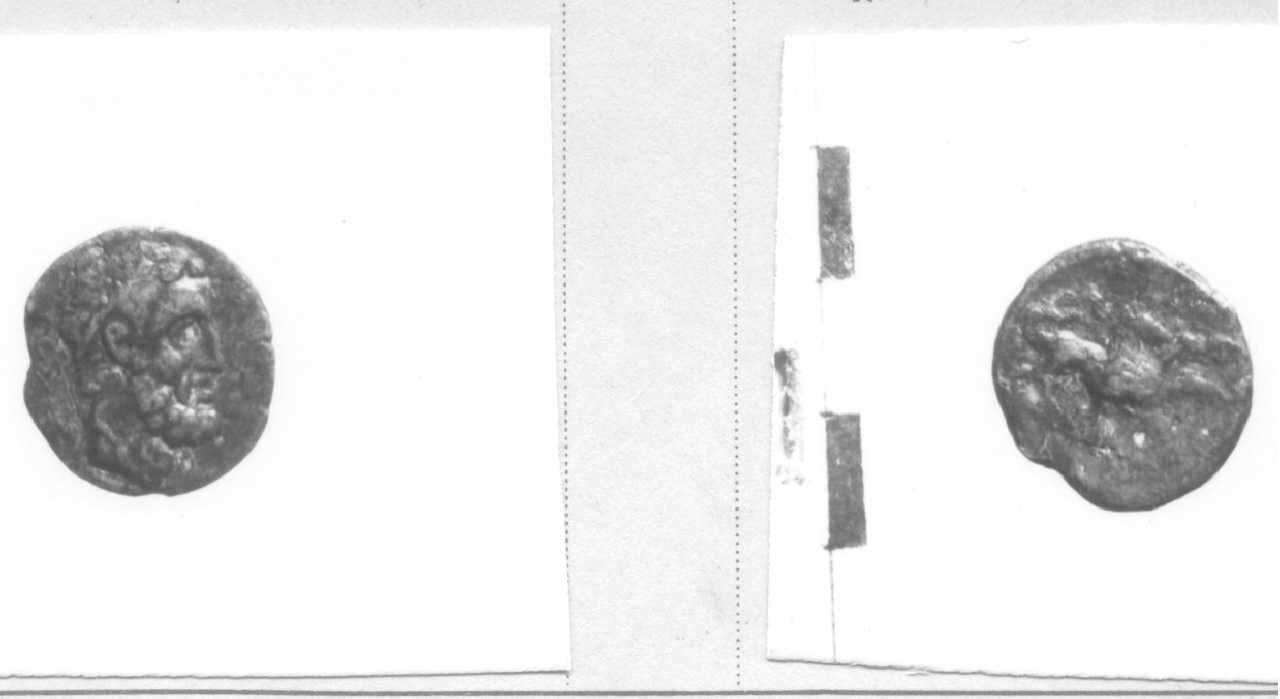 Testa maschile / animale mostruoso (moneta, divisionale) 