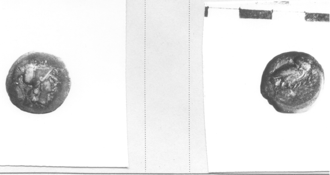 Testa di Pallade / Civetta (moneta, nominale incerto) (III sec. a.C)