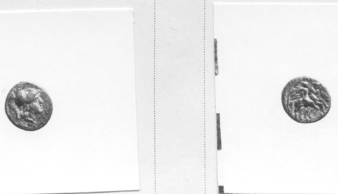 Testa di Pallade / Dioscuri (moneta, nominale incerto) (III sec. a.C)