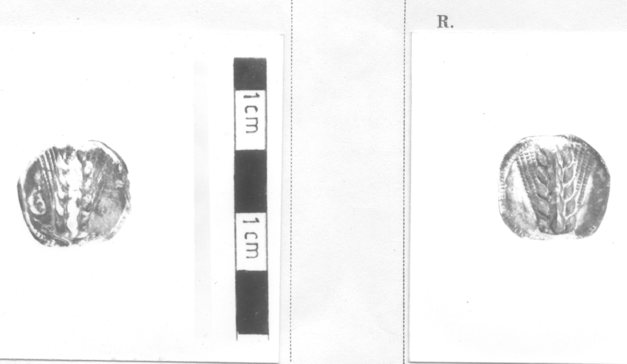 moneta, statere (V sec. a. C)