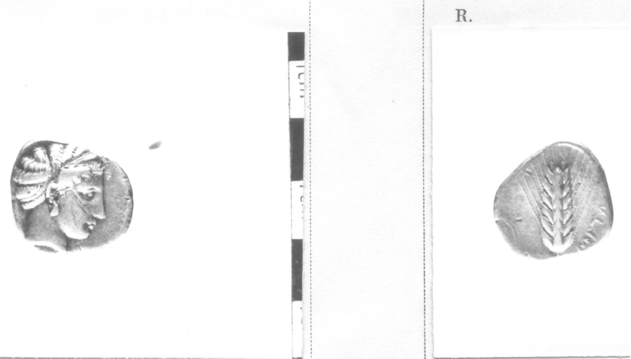 moneta, statere (V-IV sec. a.C)