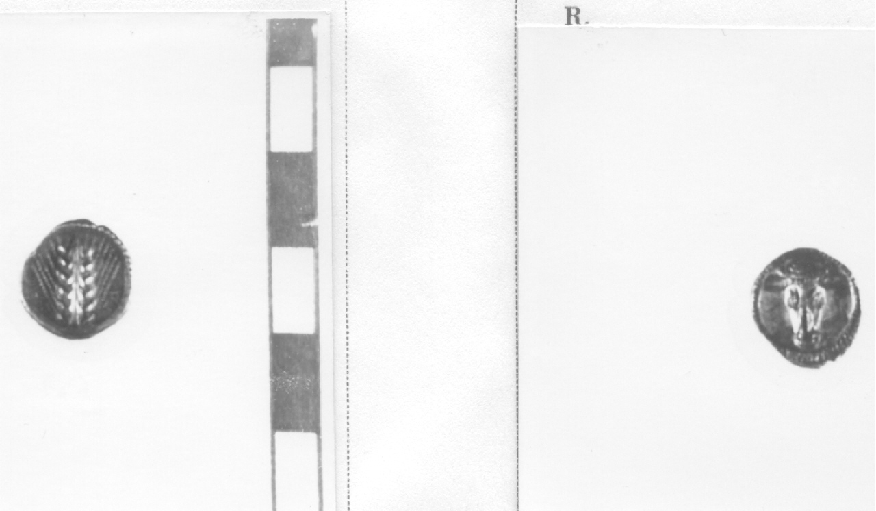 moneta, sesto di statere (V sec. a.C)