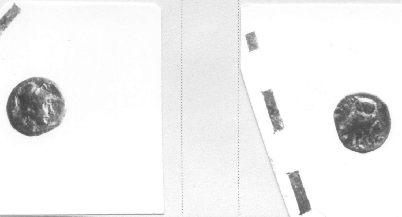 Testa di Pallade / Civetta (moneta, nominale incerto divisionale) (III sec. a.C)