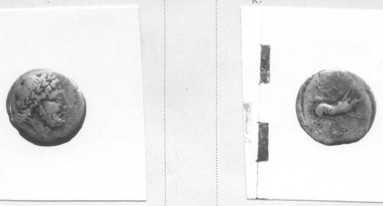 Testa di Giove / Cinghiale (moneta, litra) (III sec. a.C)