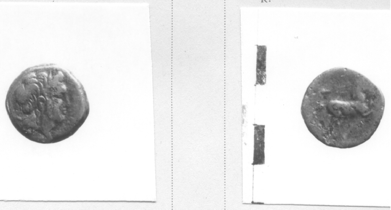 Testa di Apollo / Cavallo (moneta, litra) (III sec. a.C)