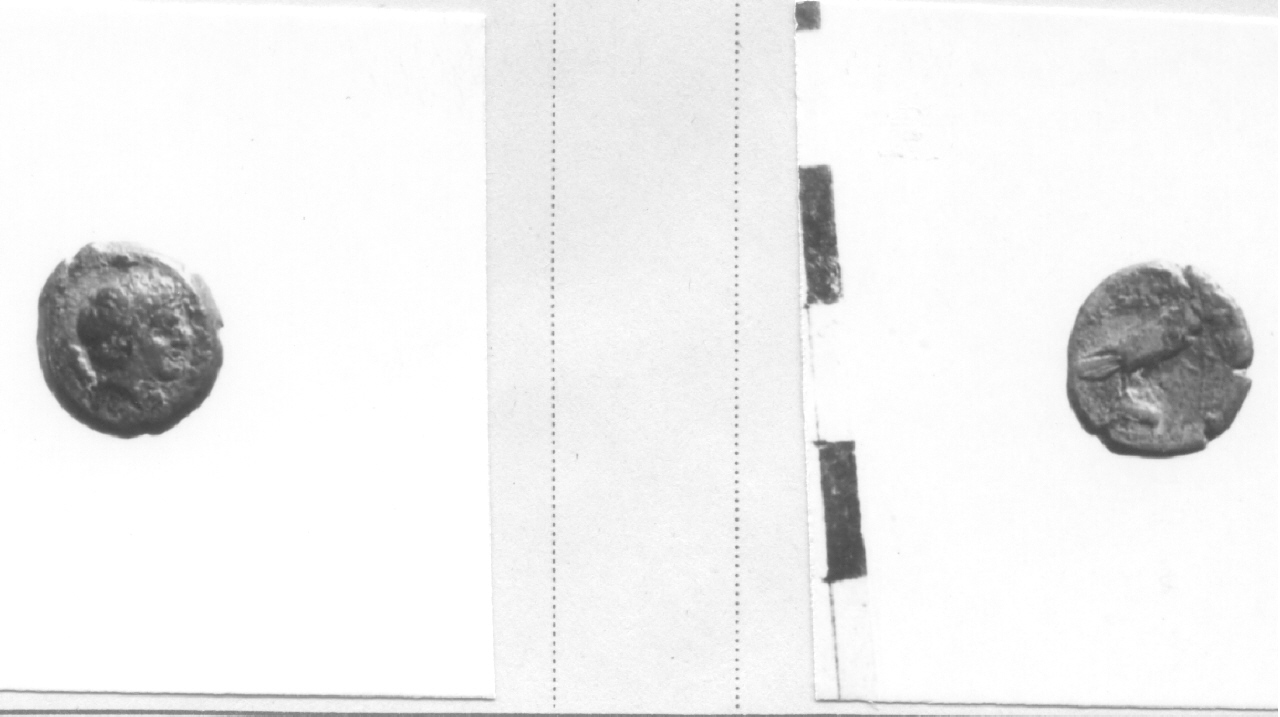 Testa di satiro / Aquila (moneta, hemilitra) (III sec. a.C)