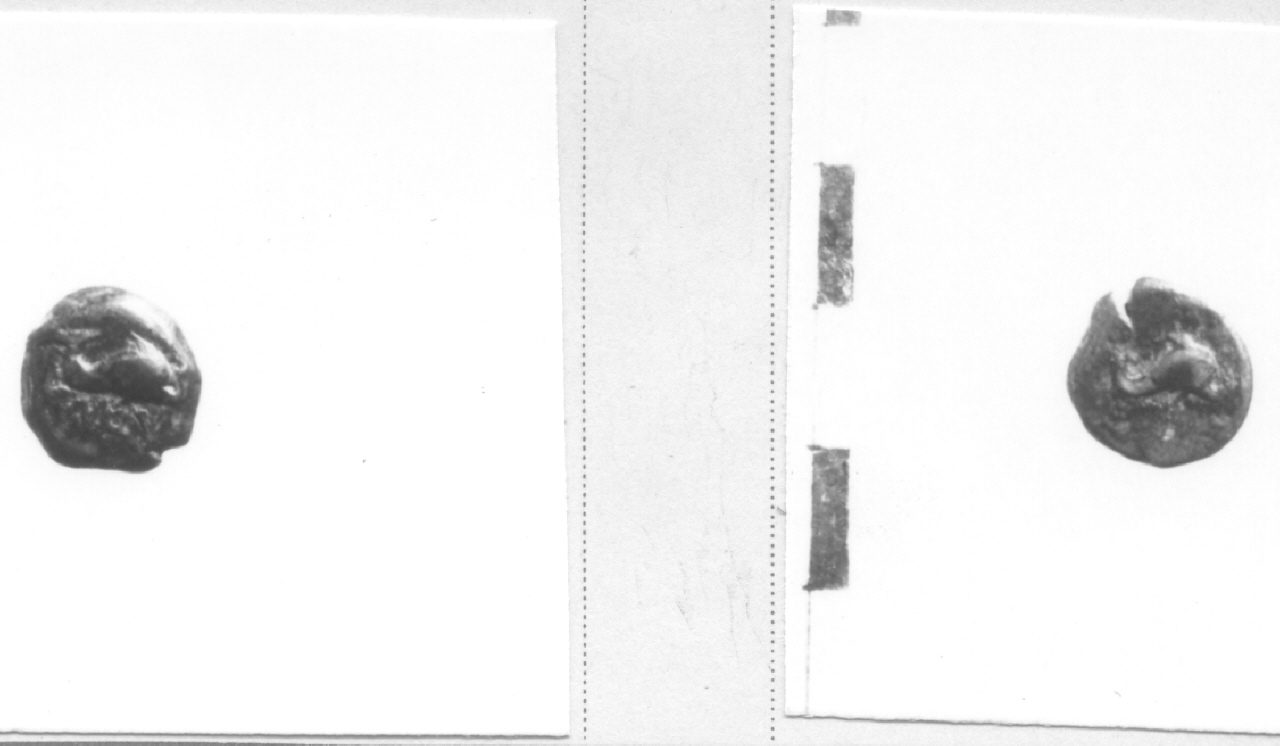 Delfino / delfino (moneta, hemilitra) (III sec. a.C)