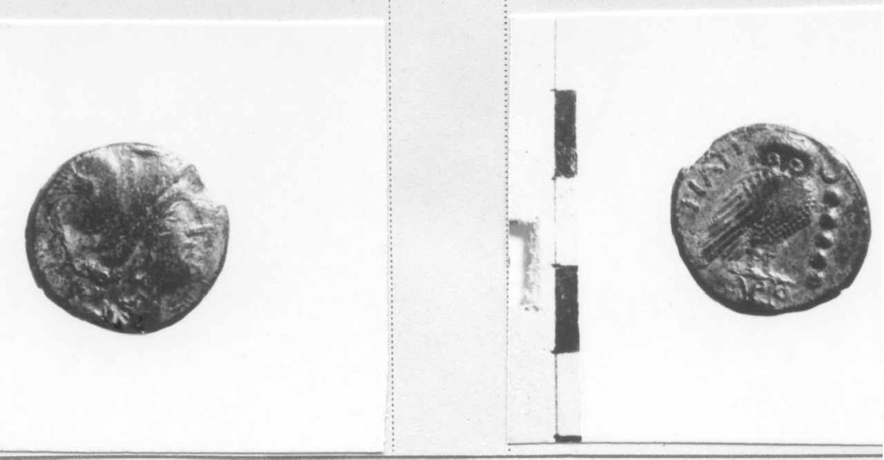 Testa di Pallade / Aquila (moneta, quincunce) (III sec. a.C)