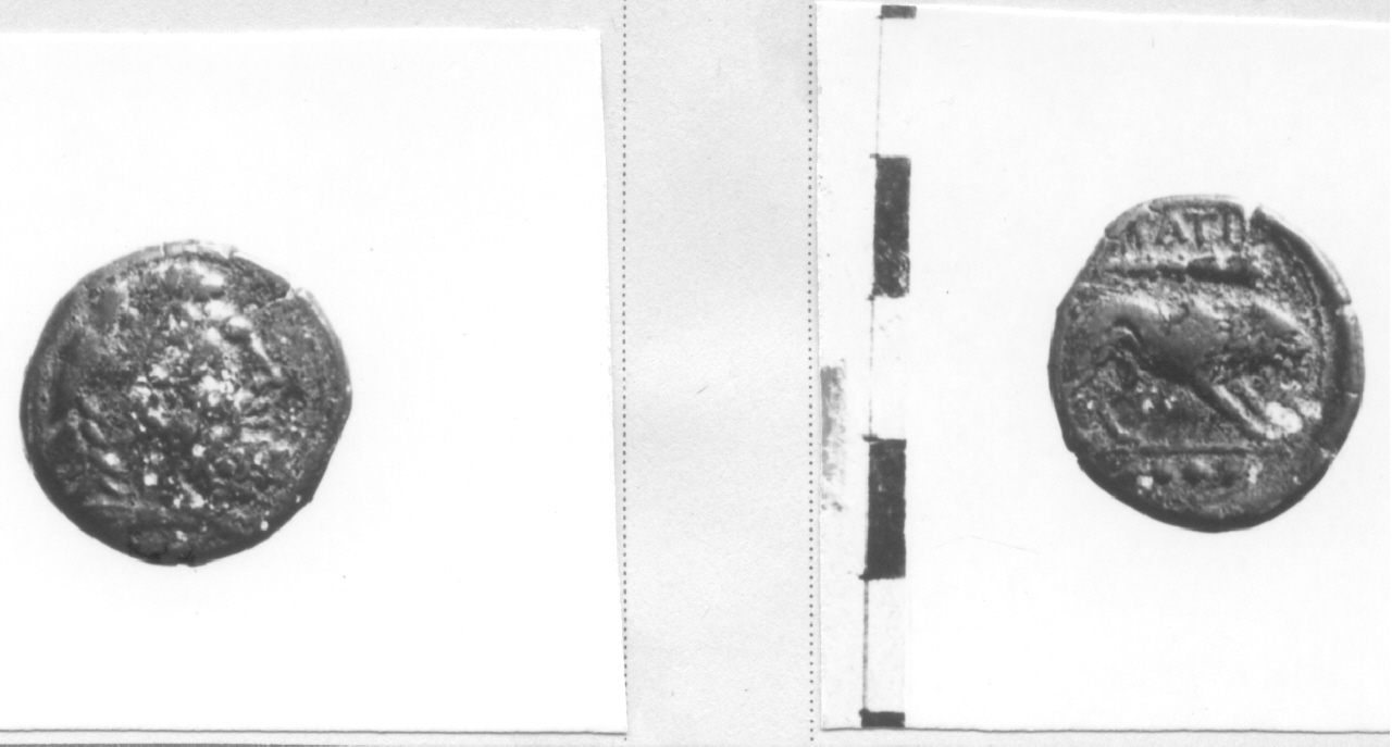 Testa di Ercole / Leone (moneta, triente) (III sec. a.C)