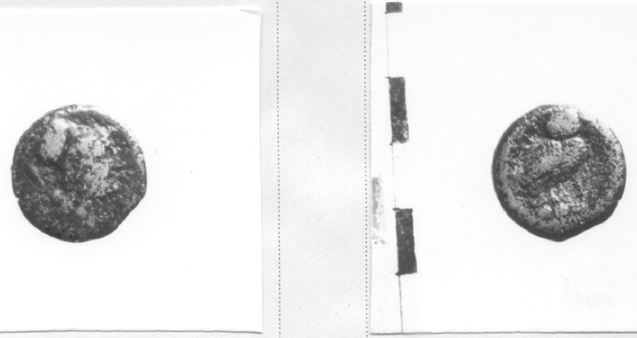 Testa di Pallade / Civetta (moneta, quadrante) (III sec. a.C)