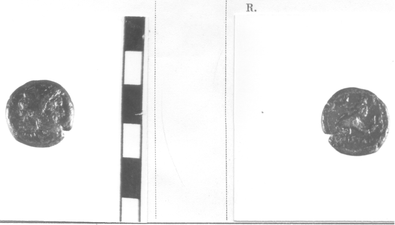 moneta, nominale incerto (III sec. a.C)