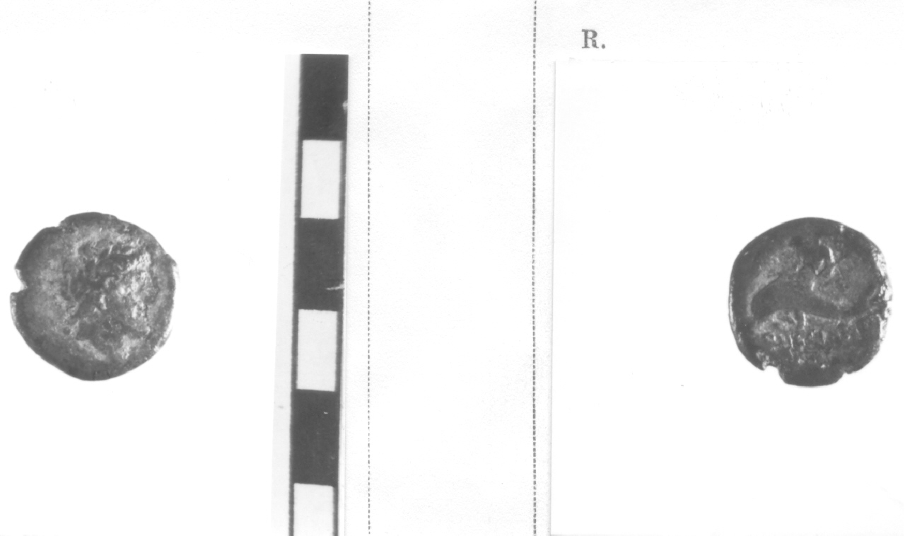 moneta, nominale incerto (III sec. a.C)
