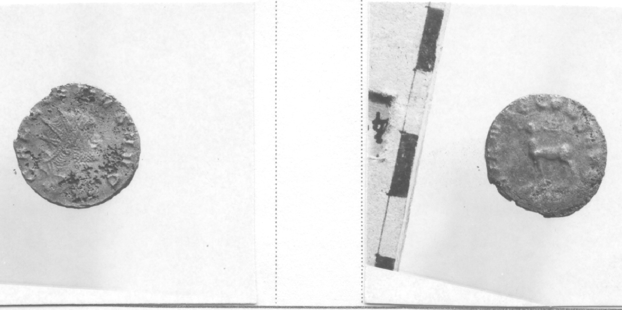 moneta, antoniniano (III sec. d.C)