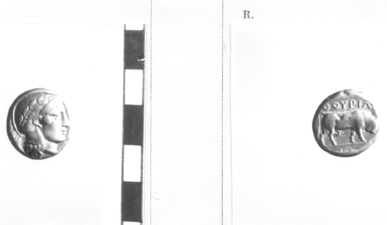 moneta, didramma (V sec. a.C)