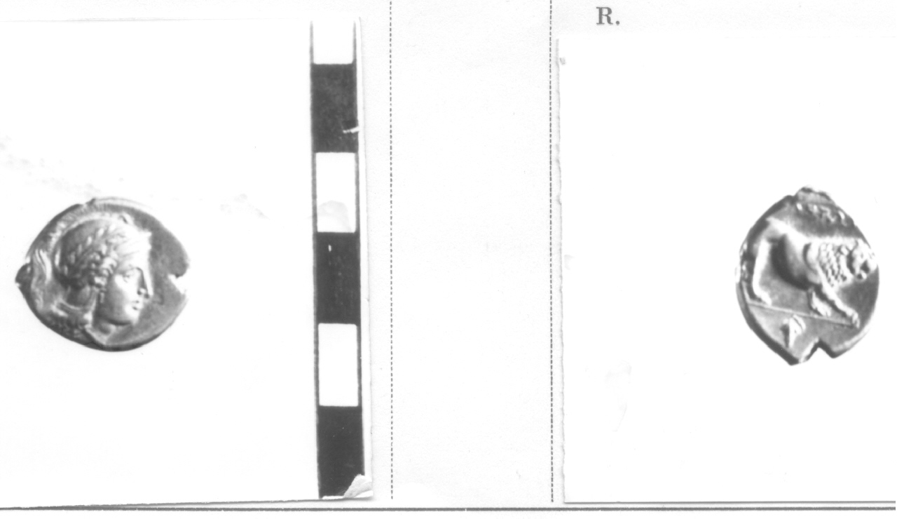 moneta, didramma (secc. IV-III a.C)
