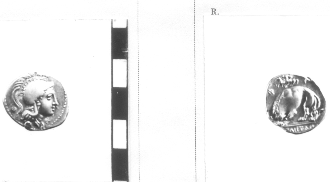 moneta, didramma (secc. IV-III a.C)