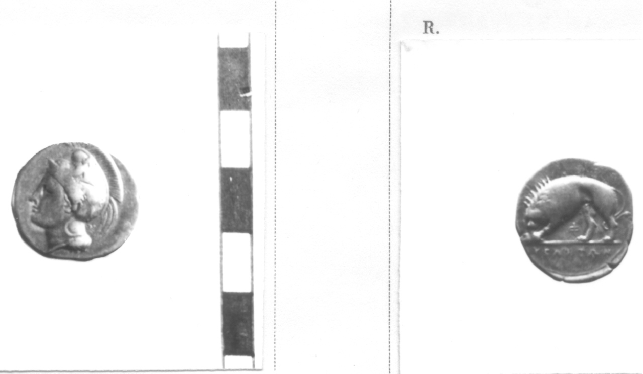 moneta, didramma (sec. IV a.C)