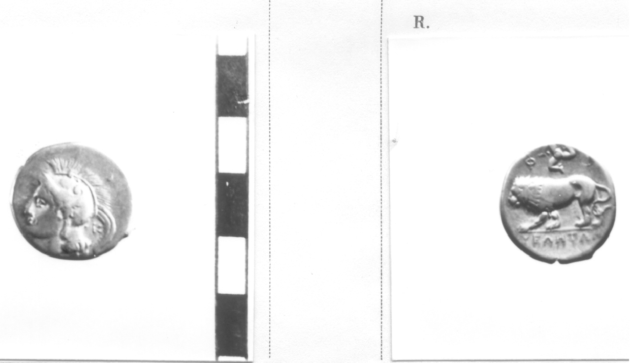 moneta, didramma (secc. IV-III a.C)
