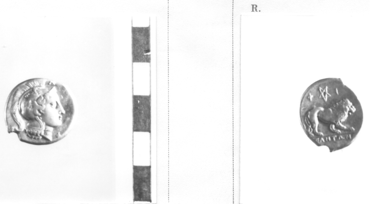 moneta, didramma (secc. IV-III a. C)