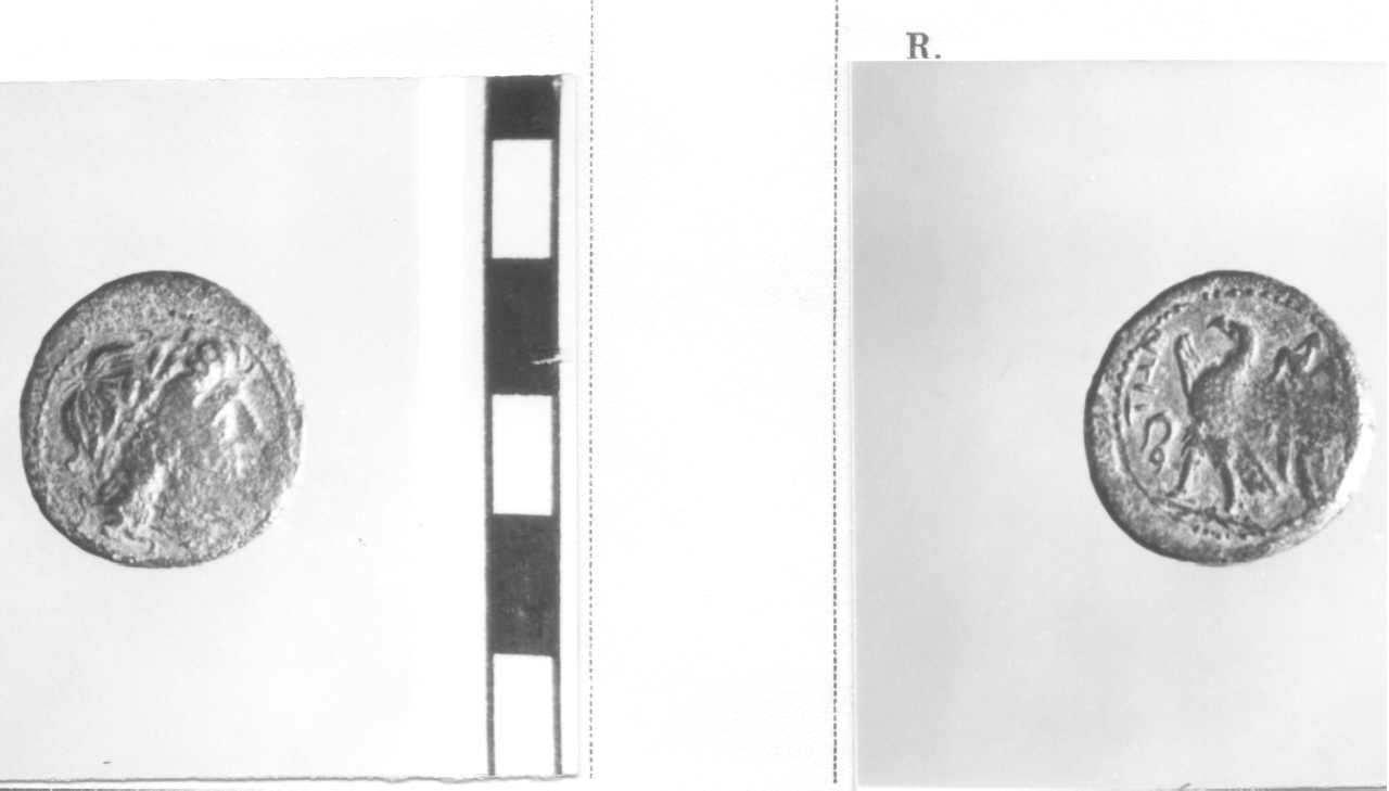 moneta, oncia (III sec. a.C)