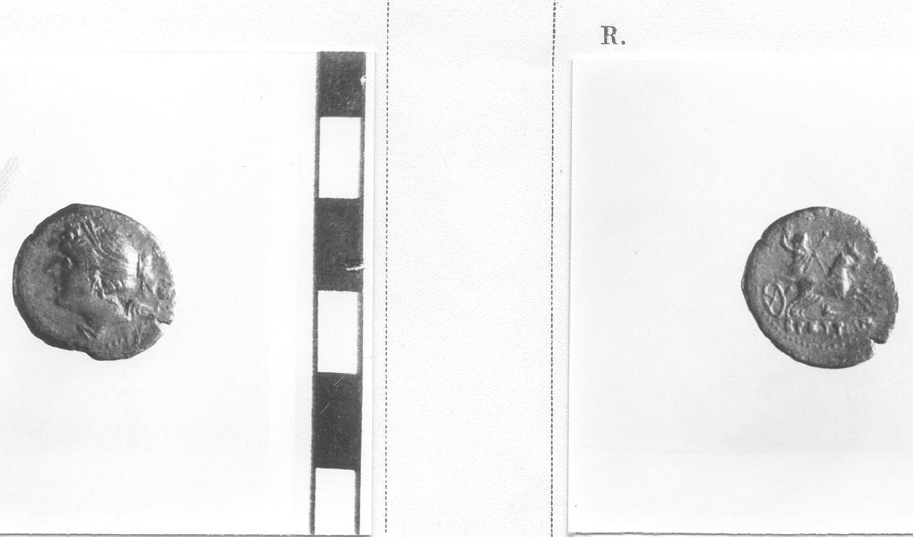 moneta, nominale divisionale (III sec. a.C)