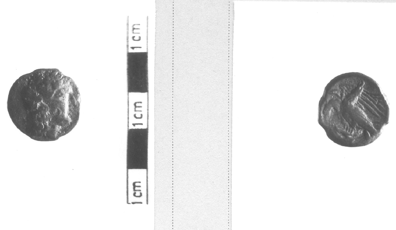 moneta, nominale incerto (III sec. a.C)