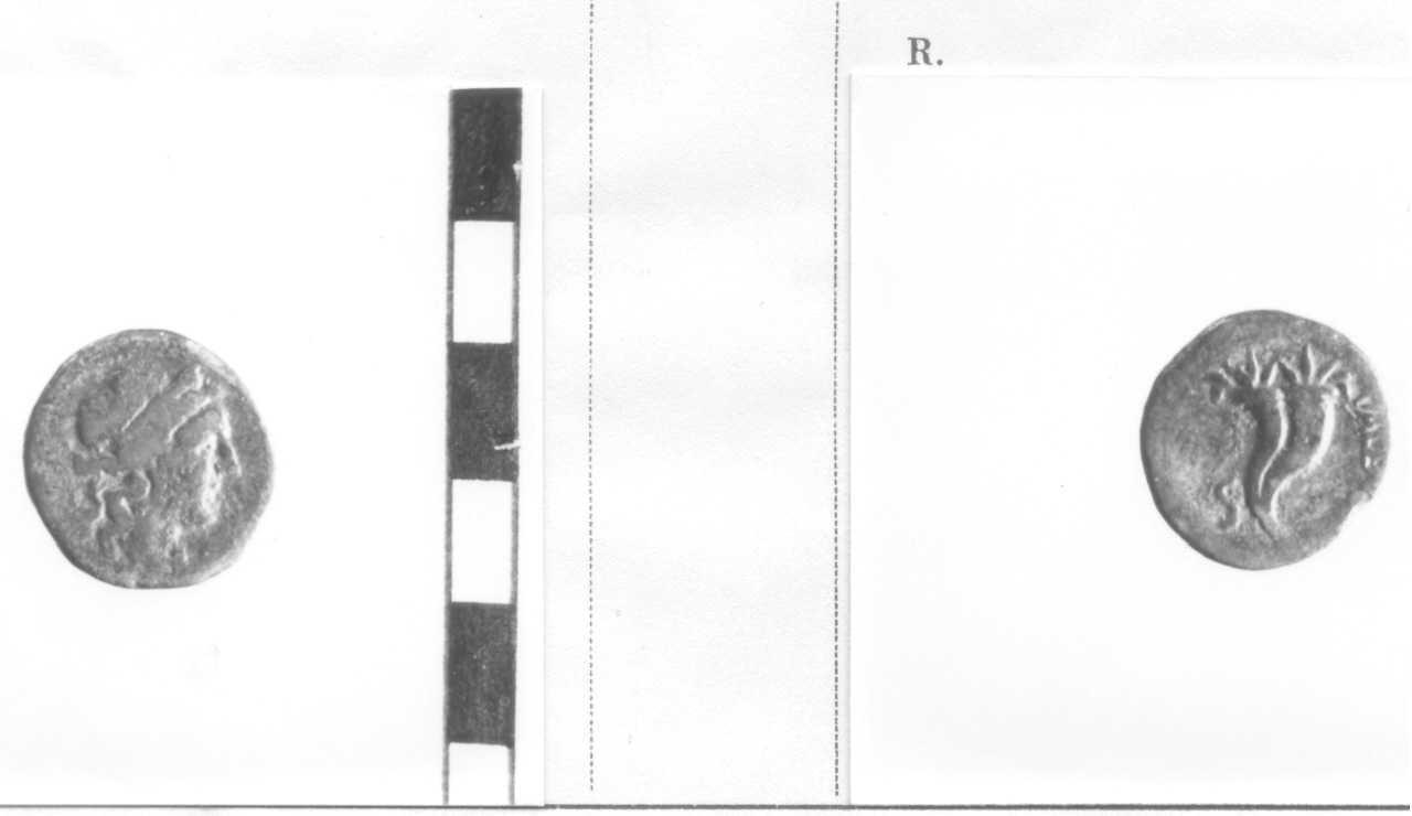 moneta, semisse (secc. II-I a. C)
