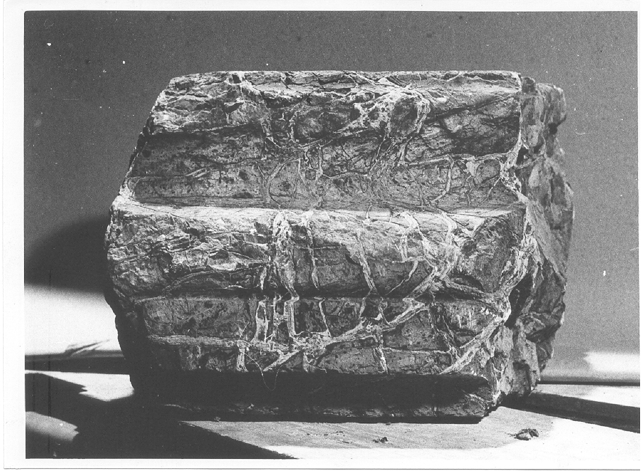 cornice architettonica 