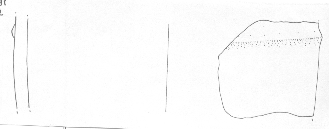 grande vaso ovoide - Facies Terramara (Età del Bronzo medio)